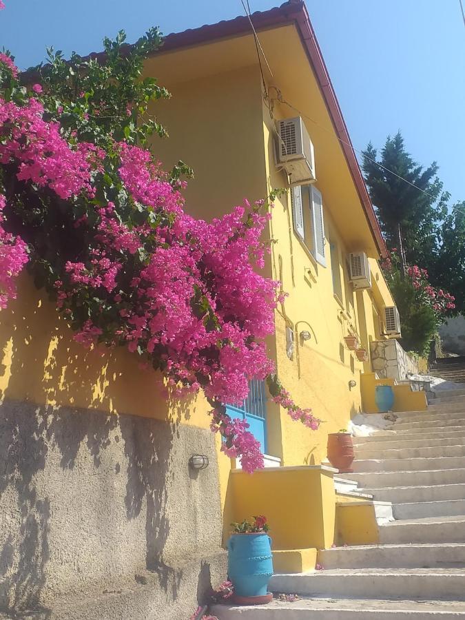 ואטי Villa Eleni מראה חיצוני תמונה